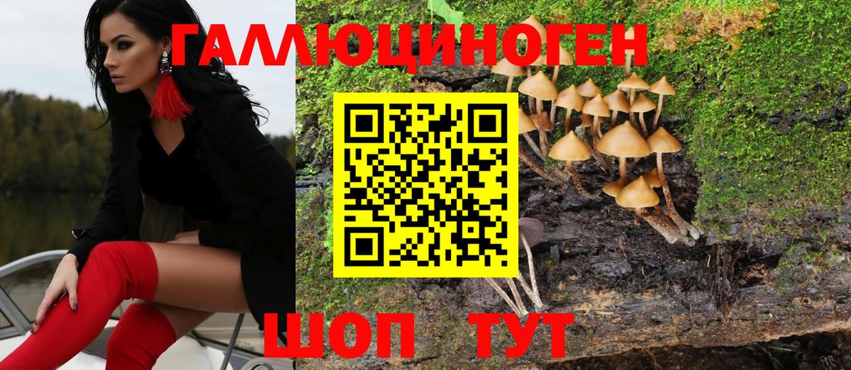 Кувандык  Псилоцибиновые грибы Magic Shrooms  Вход с VPN 